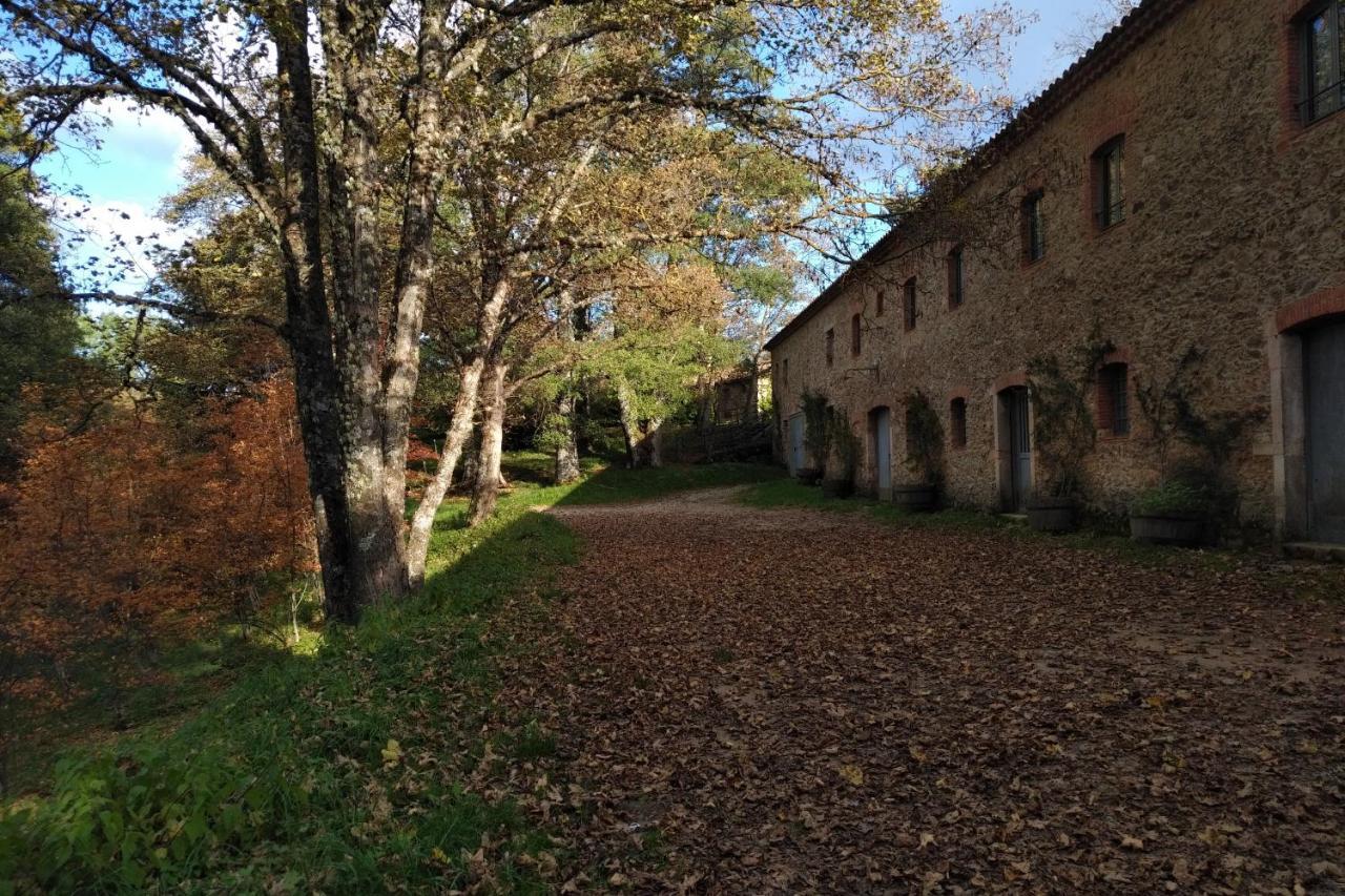 Torre Camigliati Dimora Storica 호텔 카미글리아텔로 실라노 외부 사진