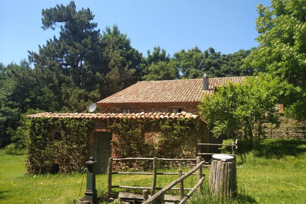 Torre Camigliati Dimora Storica 호텔 카미글리아텔로 실라노 외부 사진