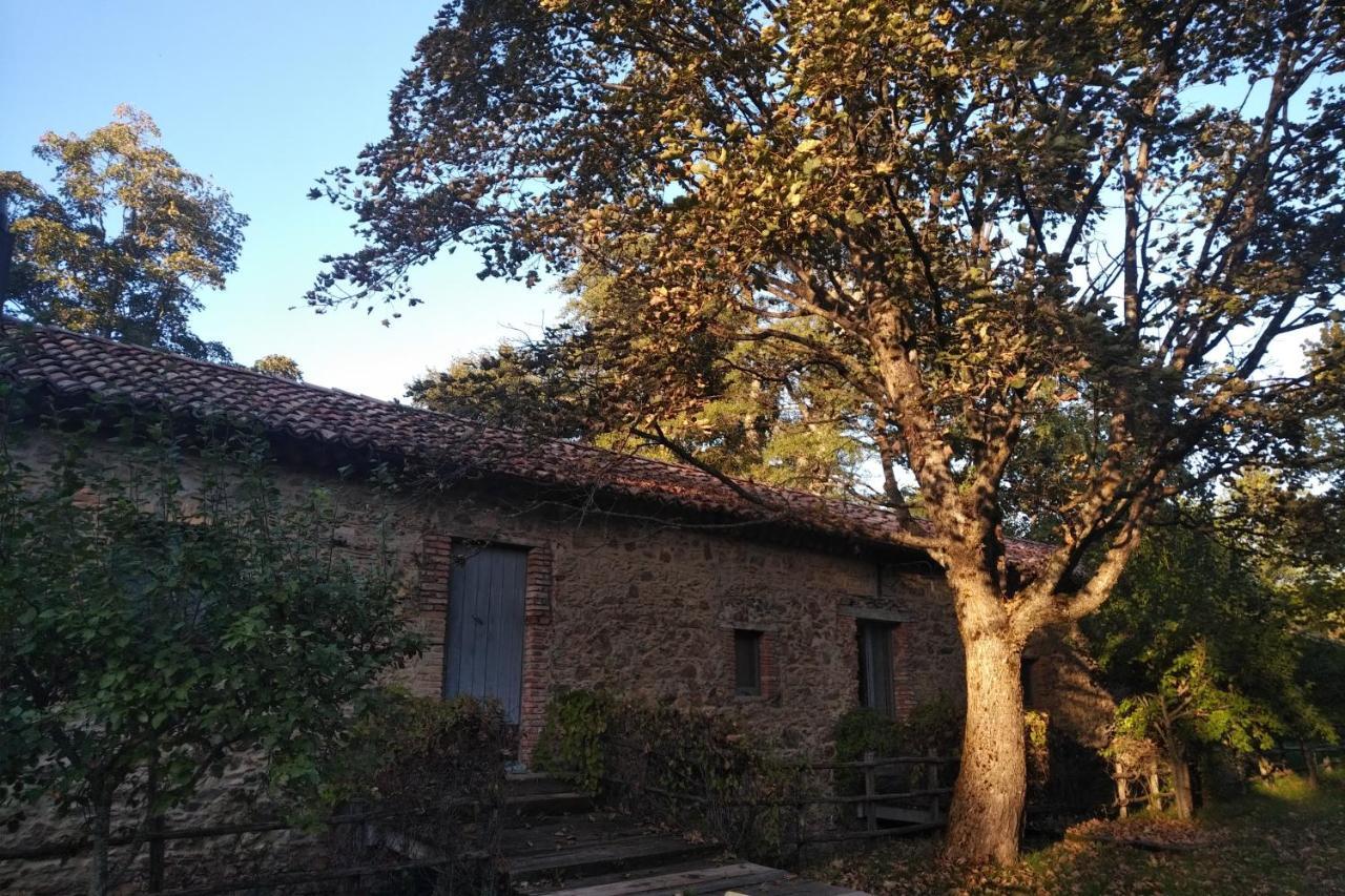Torre Camigliati Dimora Storica 호텔 카미글리아텔로 실라노 외부 사진