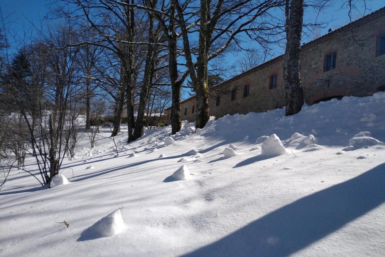 Torre Camigliati Dimora Storica 호텔 카미글리아텔로 실라노 외부 사진